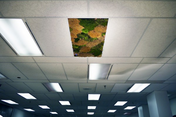 green_ceiling_01